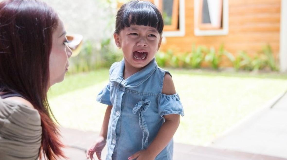 Virtual Help! My Child is Having a Temper Tantrum Seattle Area